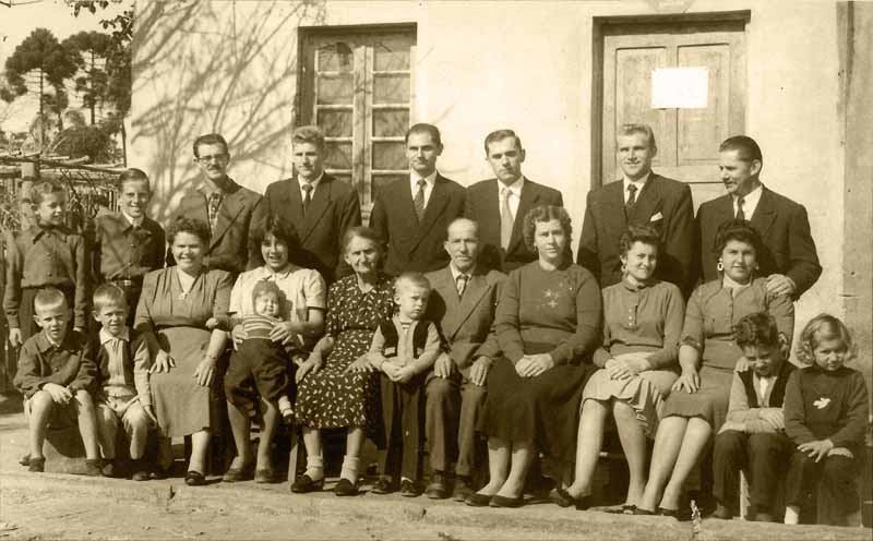 História da família Pavani no Brasil