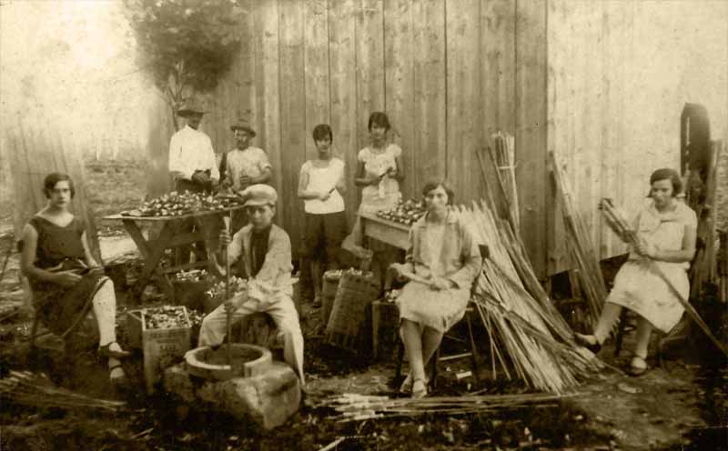 Trajetória da família Pavani no Rio Grande do Sul